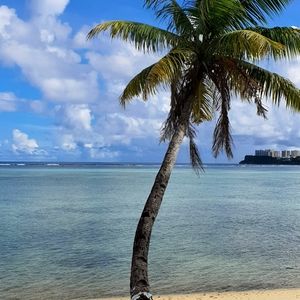 Meet your Posher, Mika.